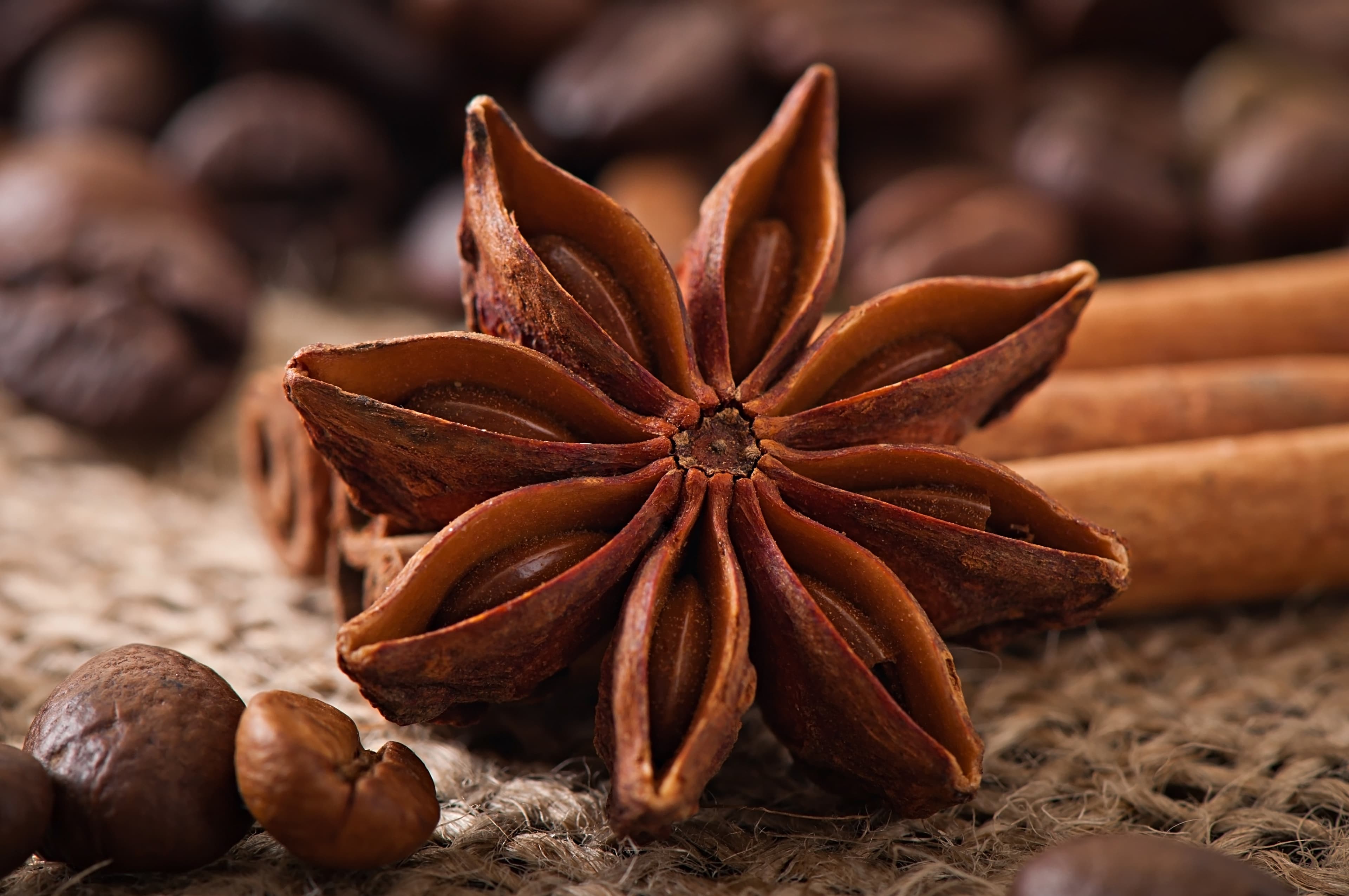 Star Anise Whole